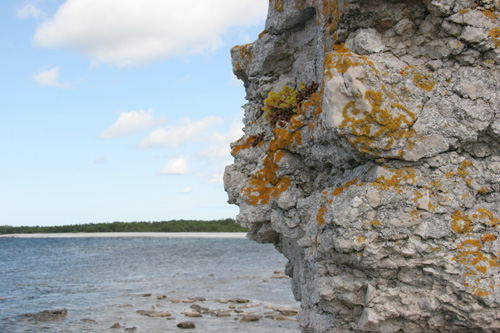 juli 2009