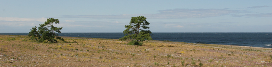 juli 2009